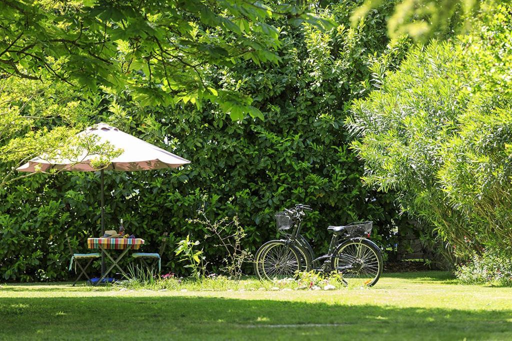 Les Gites Du Domaine De Rhodes Avignon Exterior foto