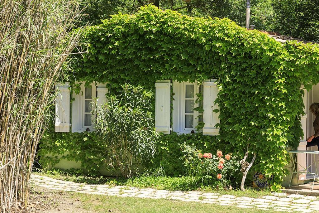 Les Gites Du Domaine De Rhodes Avignon Zimmer foto