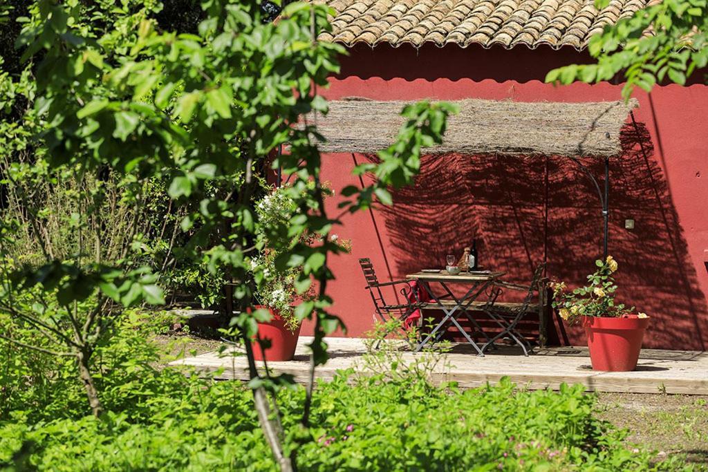Les Gites Du Domaine De Rhodes Avignon Zimmer foto