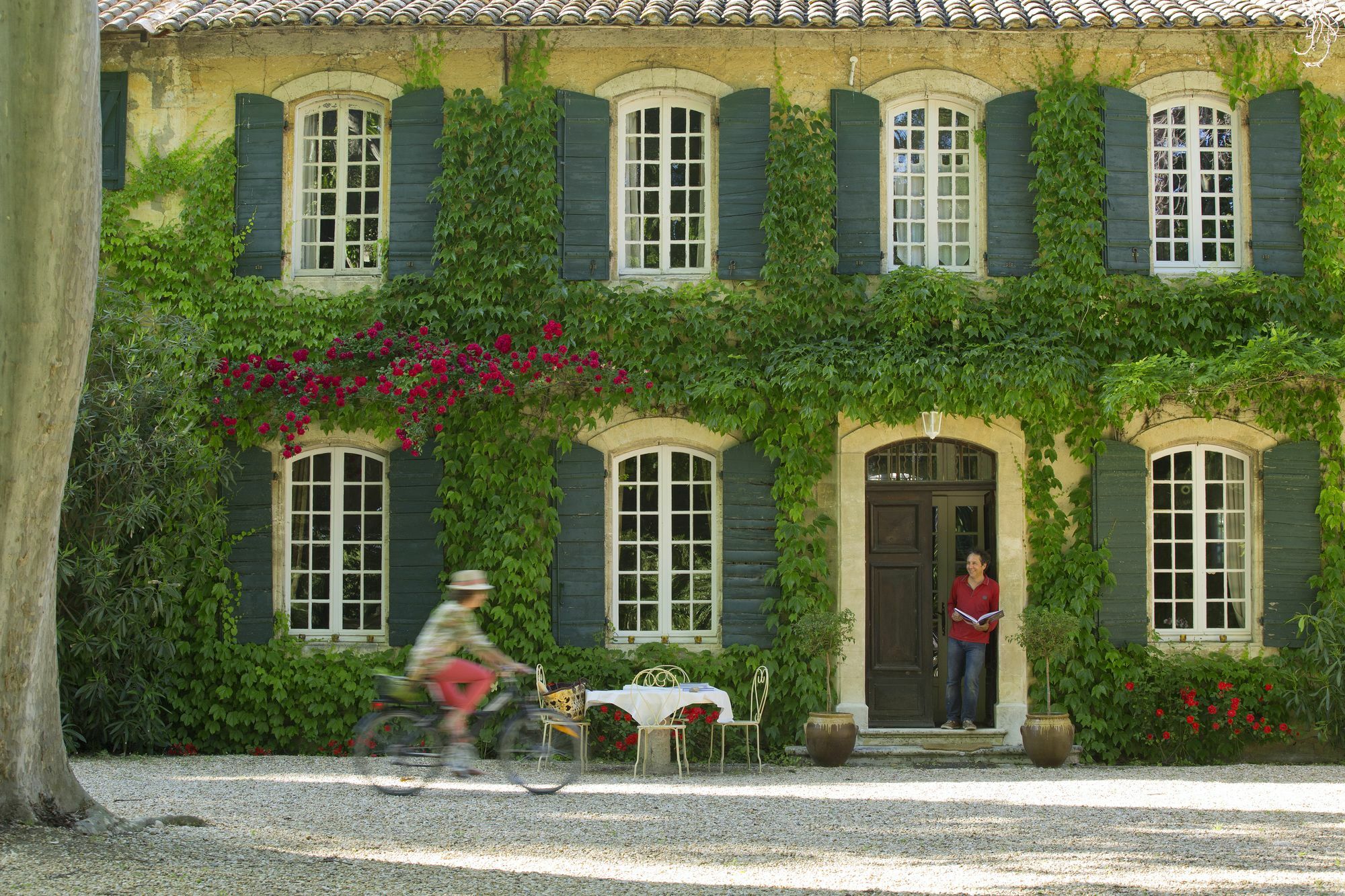 Les Gites Du Domaine De Rhodes Avignon Exterior foto