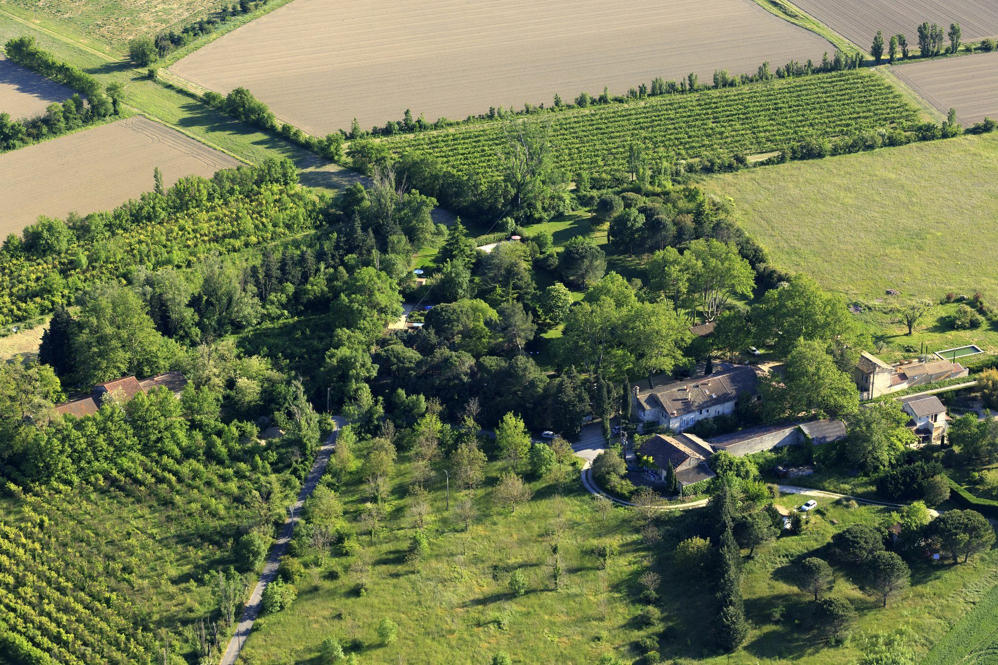 Les Gites Du Domaine De Rhodes Avignon Exterior foto